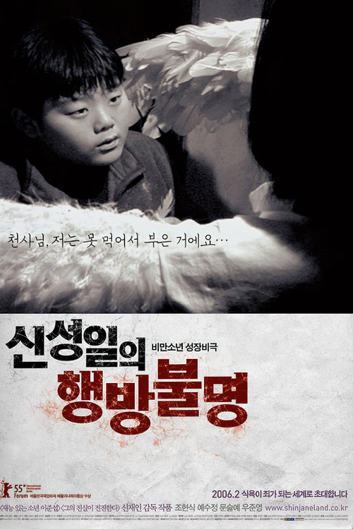 The Forgotten Child : Shin Sung-Il Is Lost Poster
