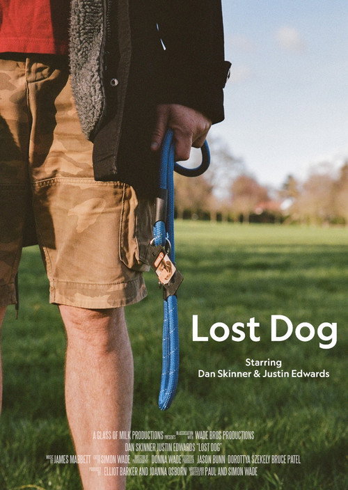 Lost Dog Poster
