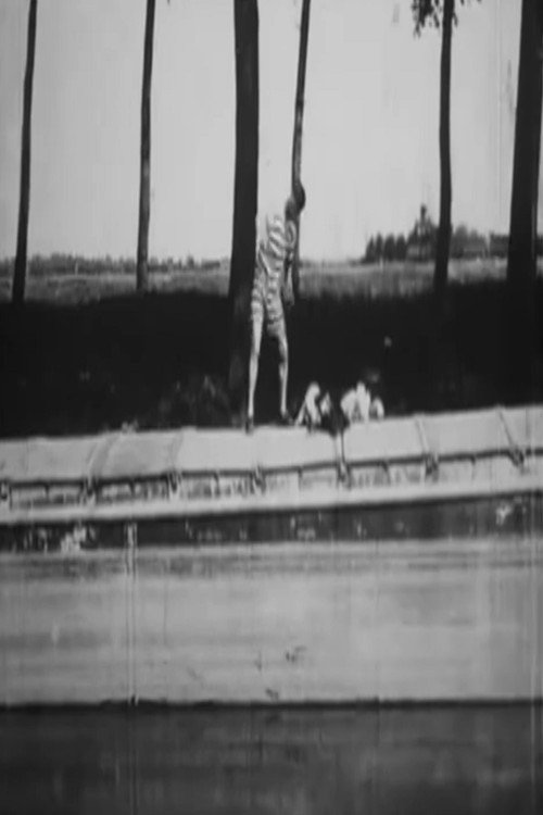 Impossible To Get a Plunge Poster