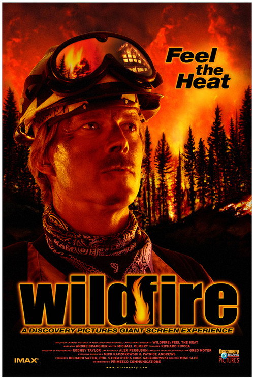 Wildfire: Feel the Heat Poster