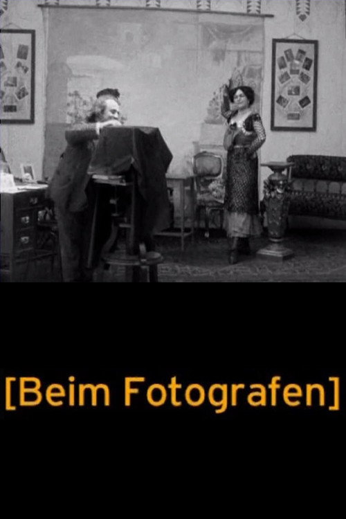 At the Photographer's Poster