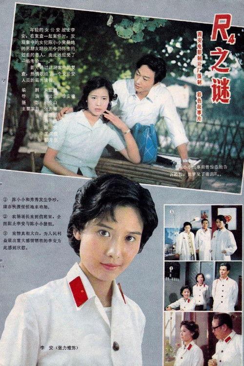 The Mystery R4 Poster