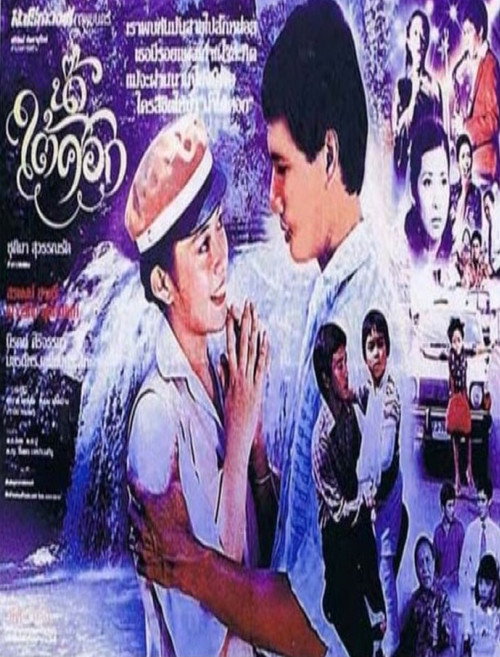 Nam Tai Sok Poster