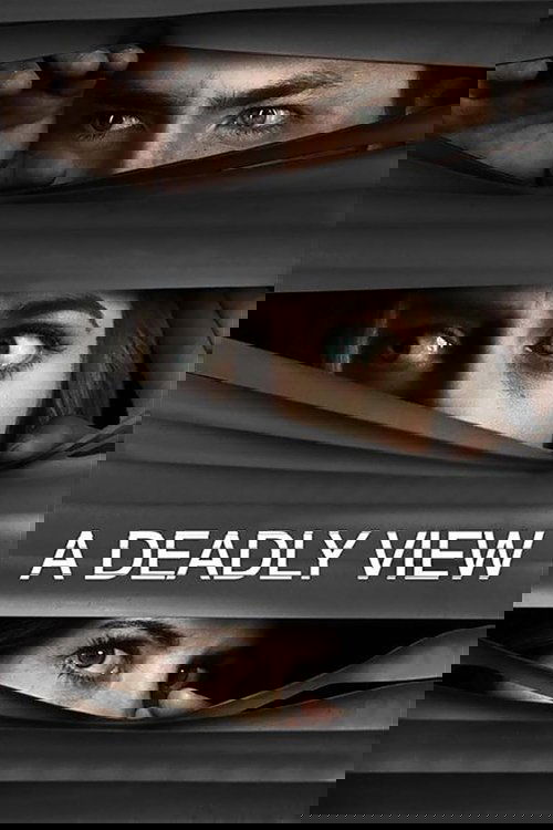 A Deadly View Poster