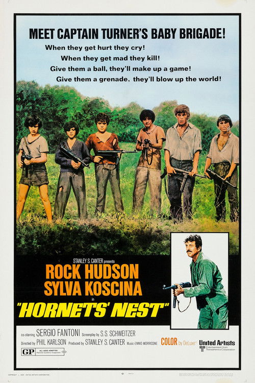 Hornets' Nest Poster