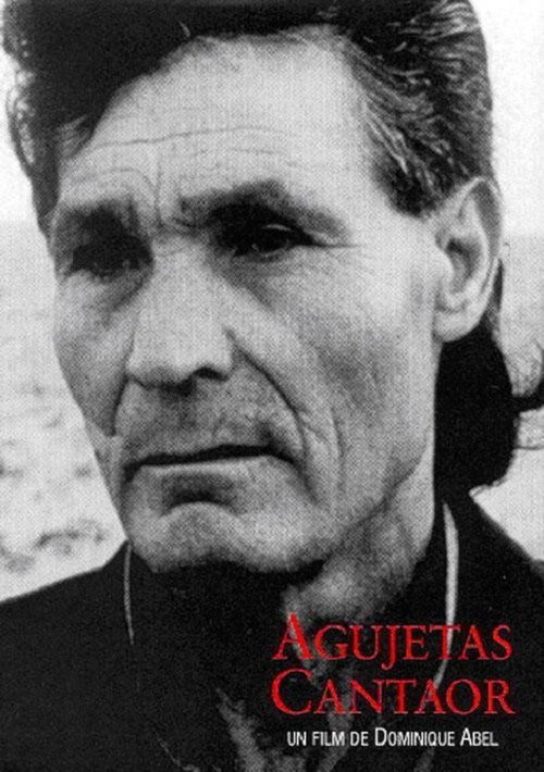 Agujetas Cantaor Poster