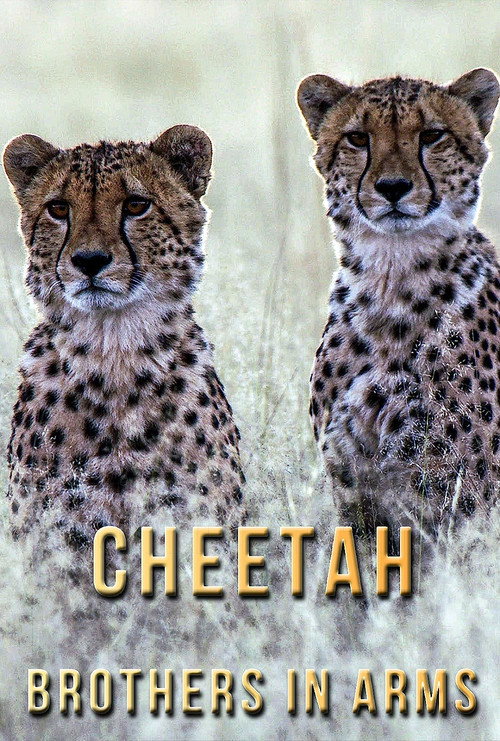 Cheetah Brothers in Arms Poster