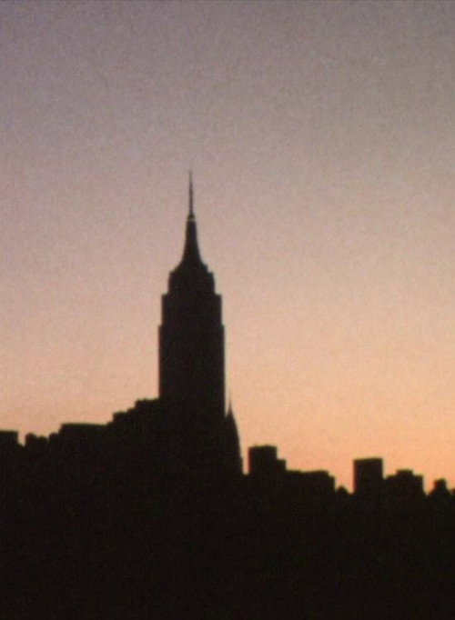 New York Film Diary Poster