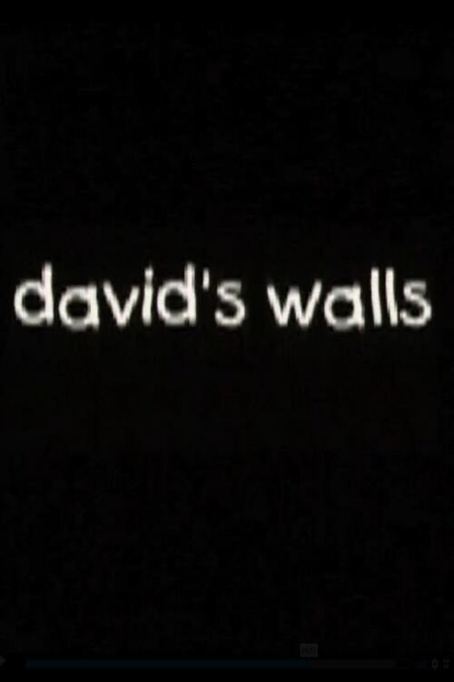 David's Walls Poster