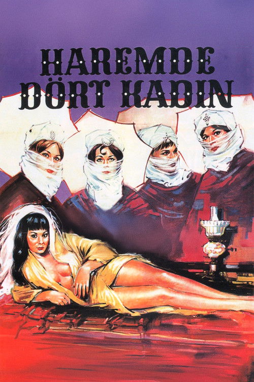 Four Women in the Harem Poster