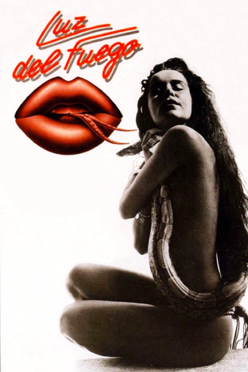 Luz del Fuego Poster