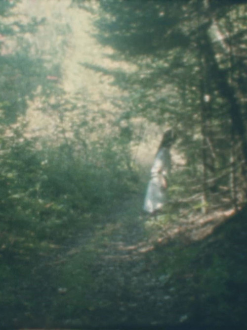 To the Forest Poster