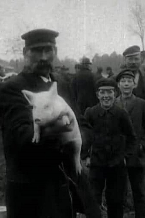 Jönköping Market Poster