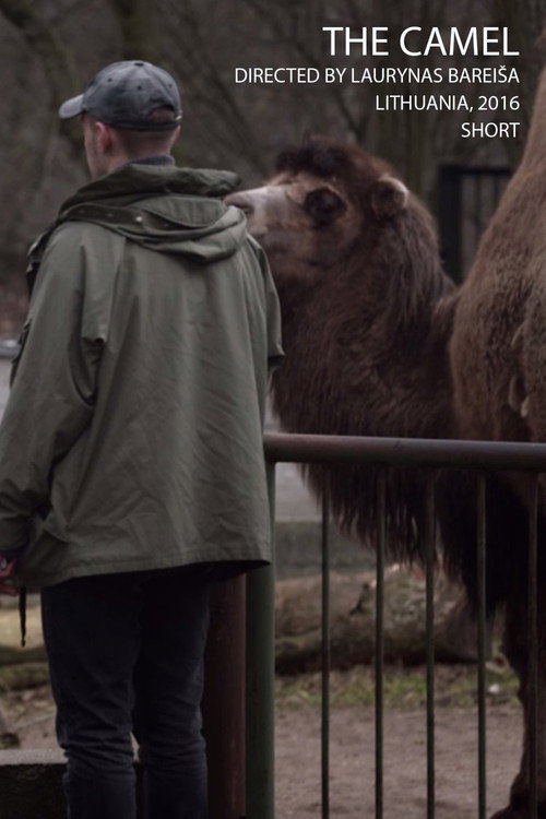 The Camel Poster
