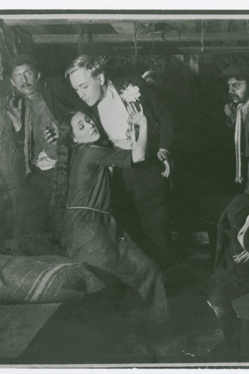 The Unknown Woman Poster