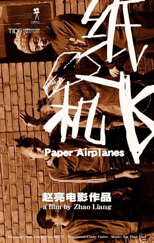 Paper Airplanes Poster