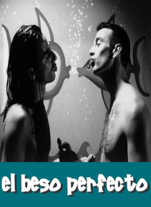 The Perfect Kiss Poster