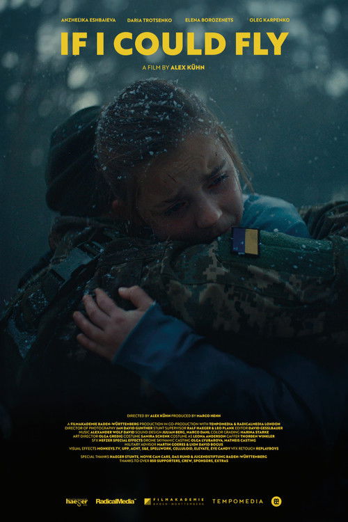 If I Could Fly Poster