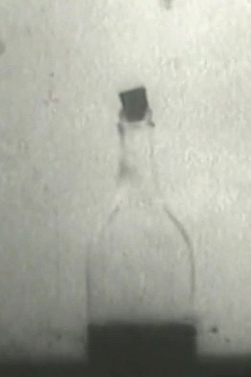 I Like the Film Poster