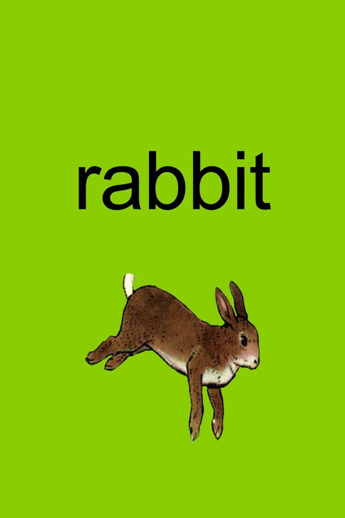 Rabbit Poster