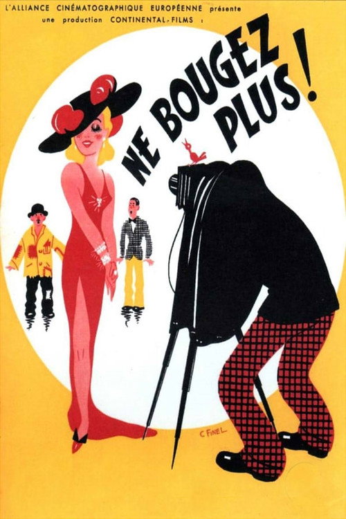 Ne bougez plus ! Poster