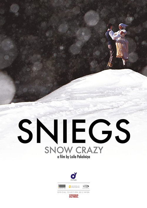 Snow Crazy Poster