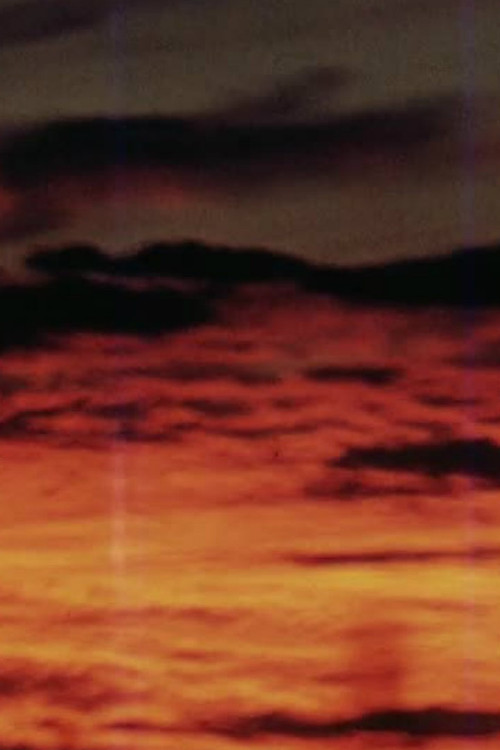 South African Scenes Poster