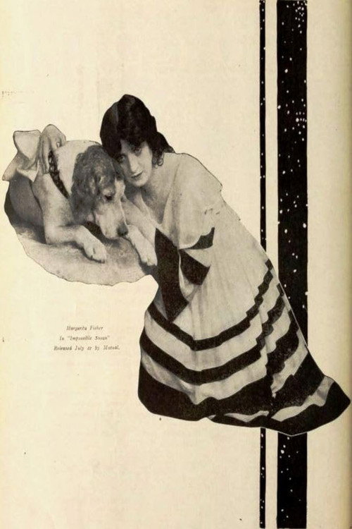 Impossible Susan Poster