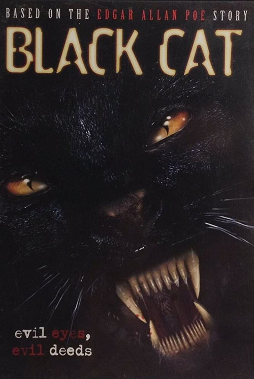Black Cat Poster