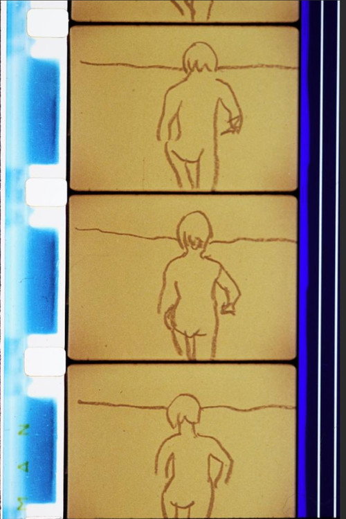 Gulls and Buoys Poster