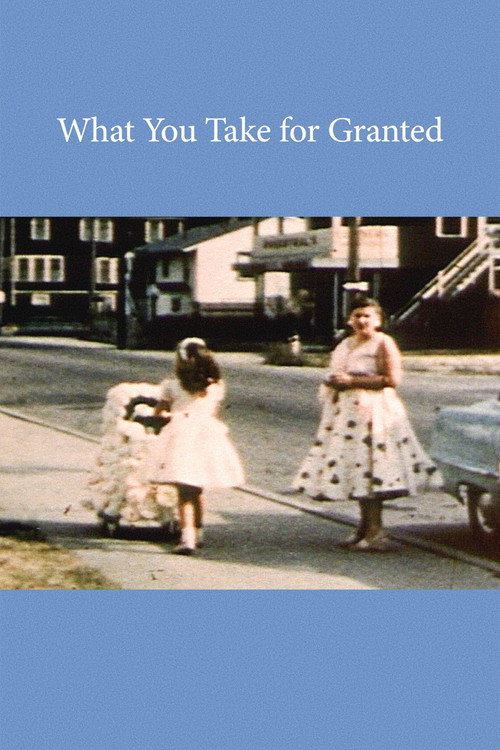What You Take for Granted Poster
