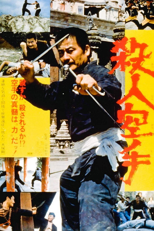 The Karate Professionals Poster