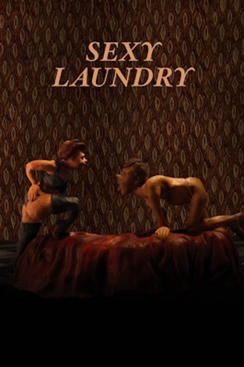 Sexy Laundry Poster