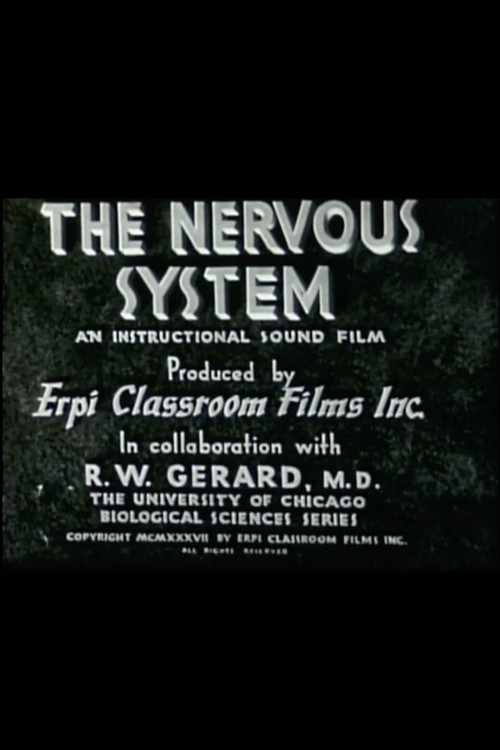 The Nervous System Poster