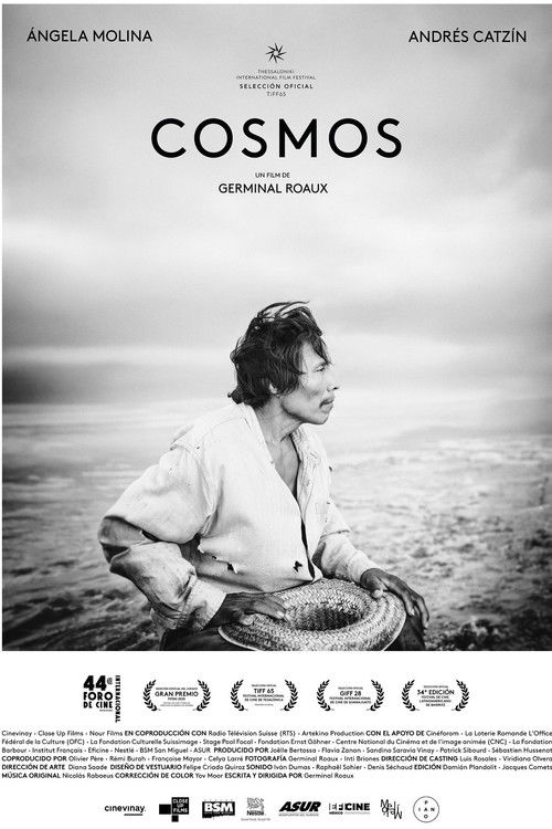 Cosmos Poster
