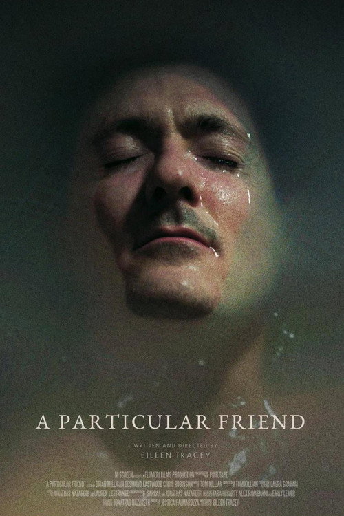 A Particular Friend Poster