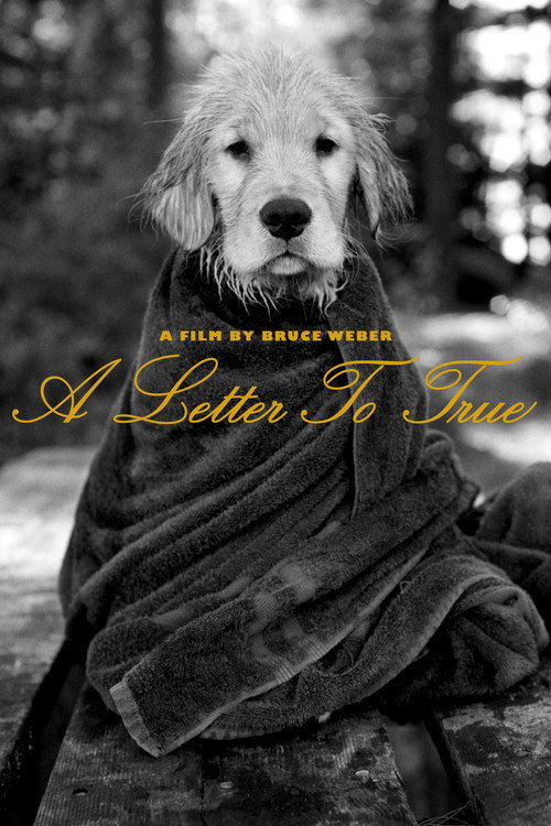A Letter to True Poster