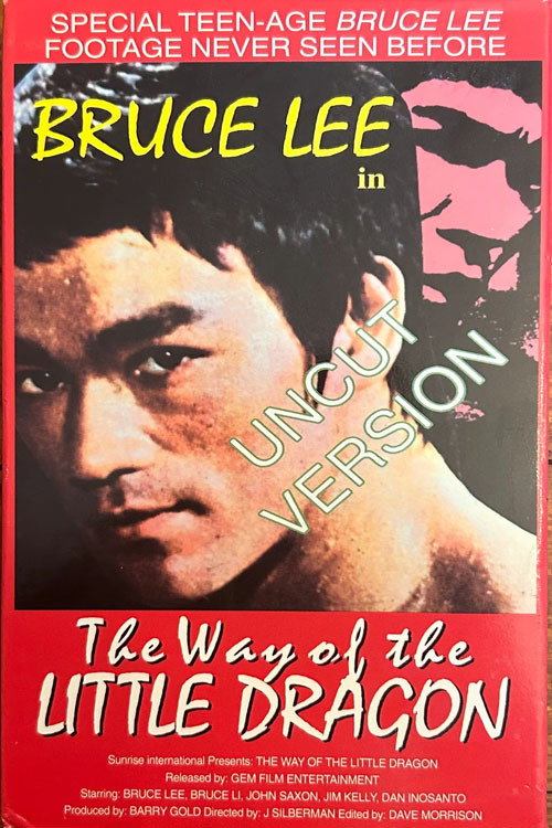 The Way of the Little Dragon Poster