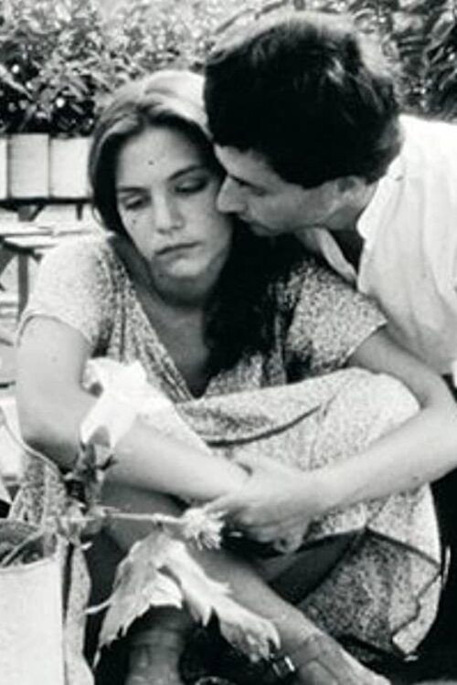 Fog Under the Sun Poster