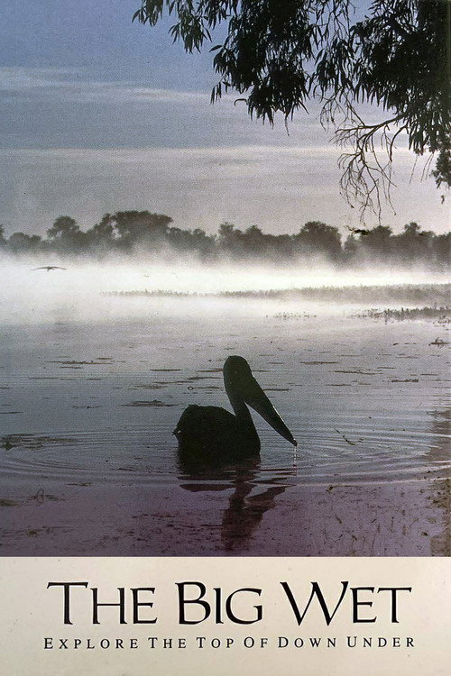 The Big Wet Poster