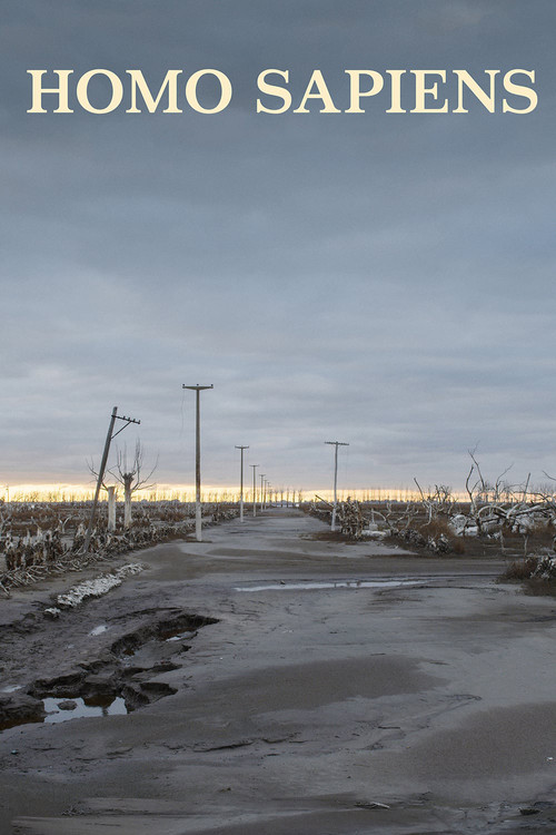Homo Sapiens Poster