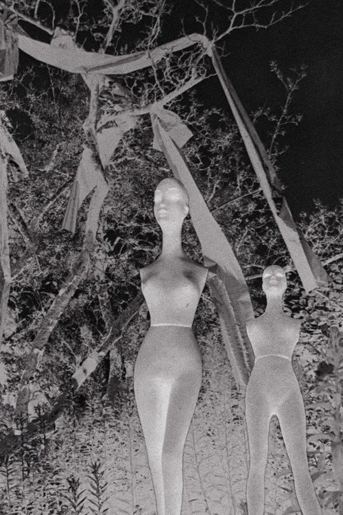 Zeitverläufe Poster