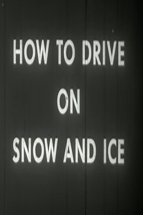 How to Drive on Snow and Ice Poster