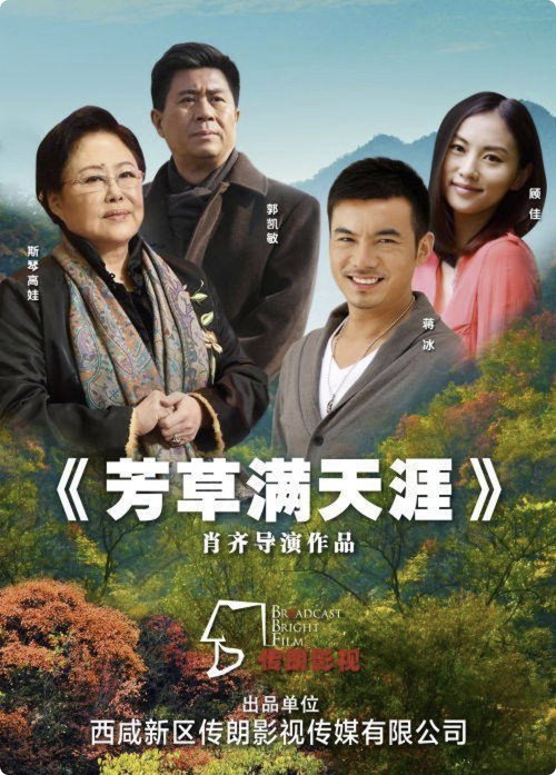 芳草满天涯 Poster