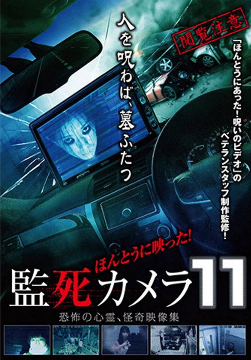 Paranormal Surveillance Camera 11 Poster