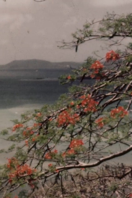 Colourful Caribbean Poster