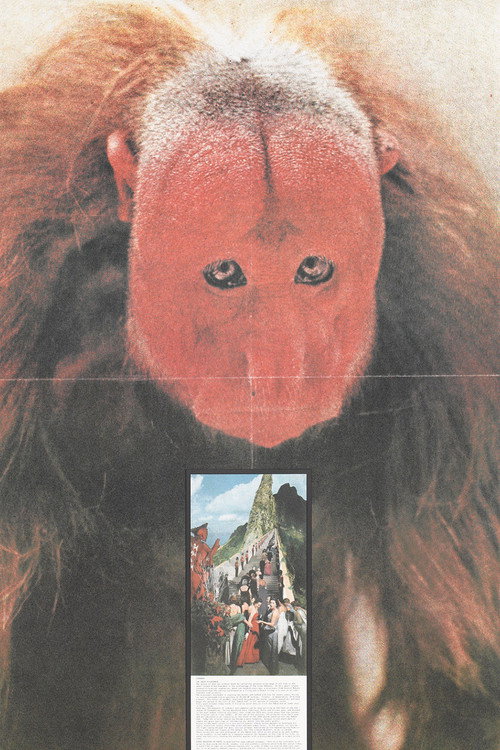 Gli atti fondamentali. Cerimonia Poster