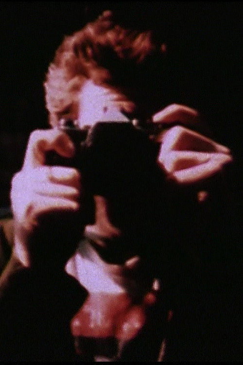 The Photographer Poster