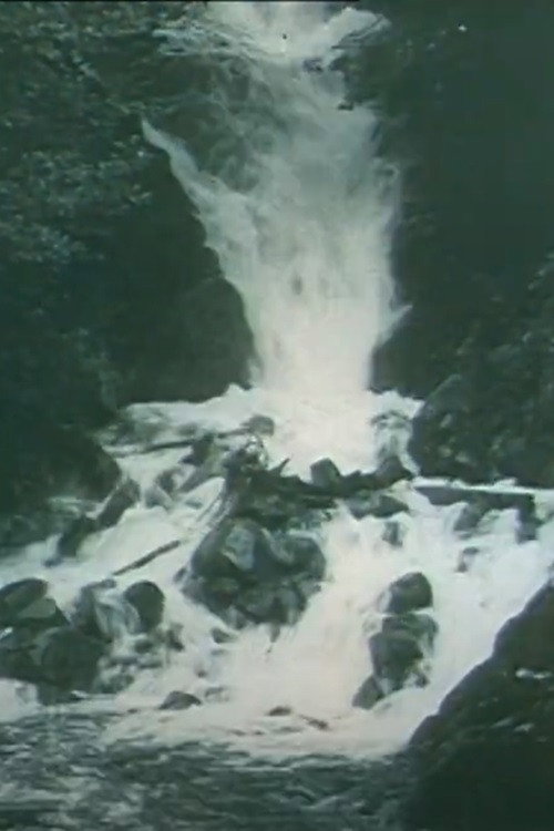 Through the Alb Valley to Sankt Blasien Poster