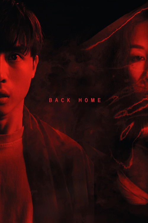 Back Home Poster
